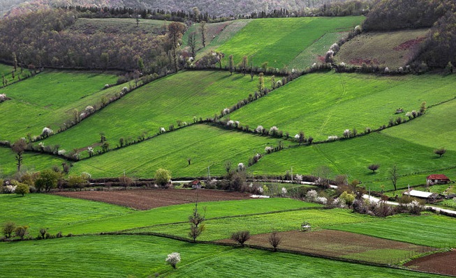 روستای همصفا