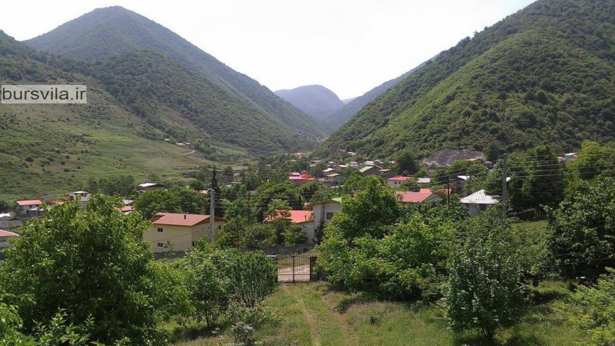 جنگل هیرکانی