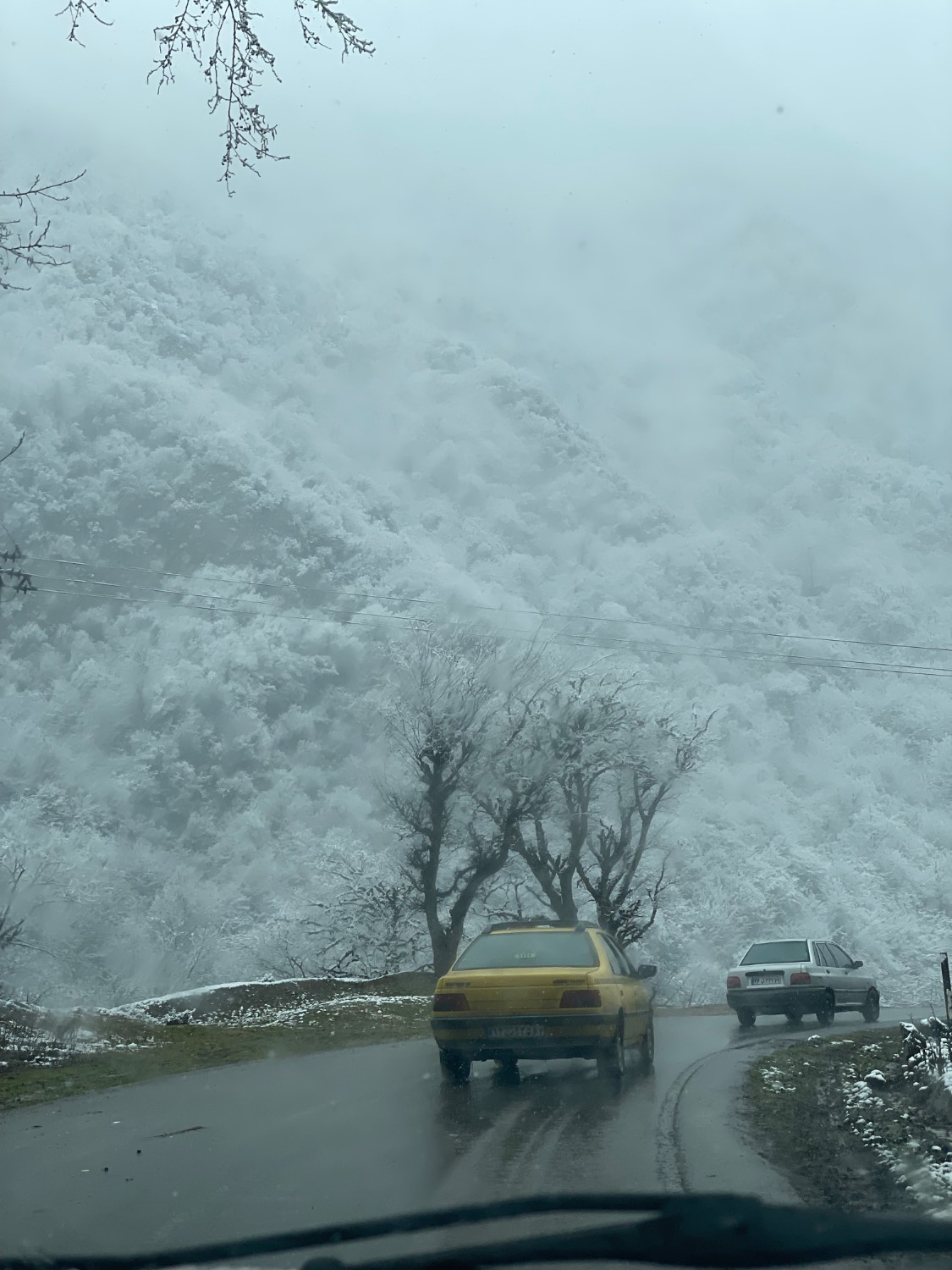 طبیعت شمال