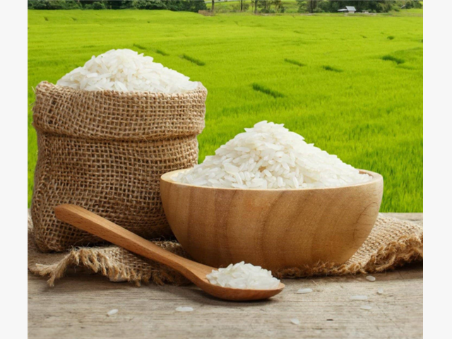 معرفی برنج ها و خرید انواع برنج مرغوبِ شمال از تیم بورس ویلا