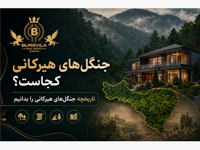 جنگلهای هیرکانی کجاست و تاریخچه جنگلهای هیرکانی را بدانیم