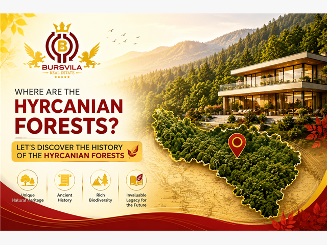 Where are the Hyrcanian forests and let