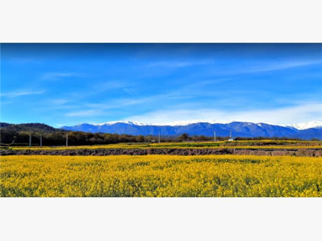 بهترین فصل سفر به مازندران یعنی بهشت ایران؟